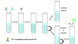 The Principle for Sandwich Chemiluminescence Enzyme Immunoassay