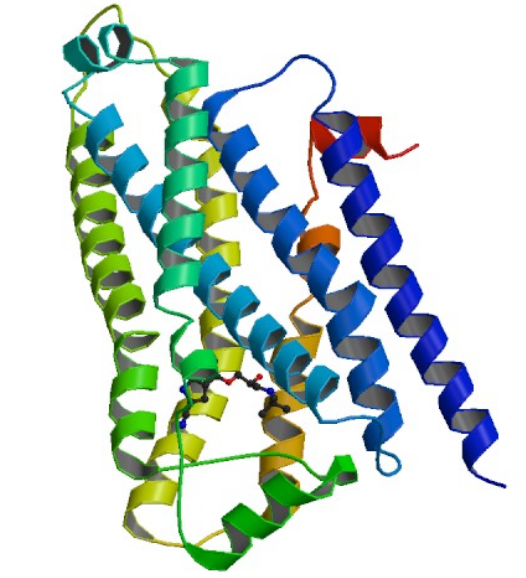 Beta-Agonists (BA)