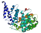 Family With Sequence Similarity 160, Member B1 (FAM160B1)