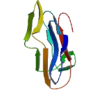 X-Kell Blood Group Precursor Related Protein, Y-Linked 2 (XKRY2)