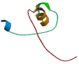 1-Acylglycerol-3-Phosphate-O-Acyltransferase 2 (AGPAT2)