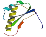 1-Acylglycerol-3-Phosphate-O-Acyltransferase 4 (AGPAT4)