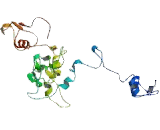 1-Acylglycerol-3-Phosphate-O-Acyltransferase 6 (AGPAT6)