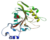 1-Aminocyclopropane-1-Carboxylate Synthase Like Protein (ACCSL)