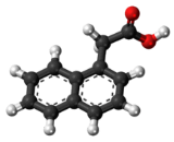 1-Naphthaleneacetic Acid (NAA)