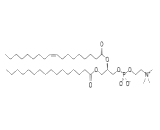 1-Palmitoyl-2-Oleoyl-sn-Glycero-3-Phosphocholine (POPC)