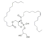 1-Palmitoyl-2-Oleoyl-sn-Glycero-3-Phosphoglycerol (POPG)