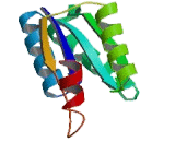 17-Beta-Hydroxysteroid Dehydrogenase Type 7 (HSD17b7)