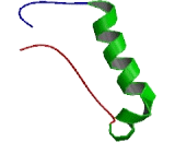 2,4-Dienoyl Coenzyme A Reductase 2, Peroxisomal (DECR2)