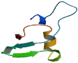 24-Dehydrocholesterol Reductase (DHCR24)