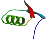 3-Beta-Hydroxysteroid Dehydrogenase Type 2 (HSD3b2)