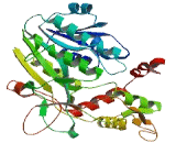 3-Beta-Hydroxysteroid Dehydrogenase Type 5 (HSD3b5)