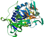 3-Oxoacid Coenzyme A Transferase 2 (OXCT2)