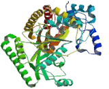 4-Aminobutyrate Aminotransferase (ABAT)