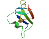 5,10-Methenyltetrahydrofolate Synthetase (MTHFS)