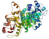 5-Aminoimidazole-4-Carboxamide Ribonucleotide Formyltransferase (ATIC)