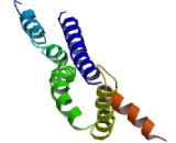 5-Azacytidine Induced Protein 2 (AZI2)