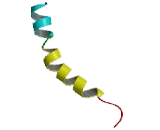 5-Hydroxytryptamine Receptor 1E (HTR1E)