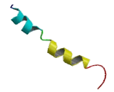 5-Hydroxytryptamine Receptor 1F (HTR1F)