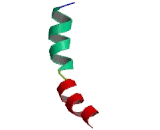 5-Hydroxytryptamine Receptor 2C (HTR2C)