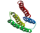 5-Hydroxytryptamine Receptor 3A (HTR3A)