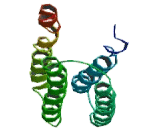 5-Hydroxytryptamine Receptor 3E (HTR3E)