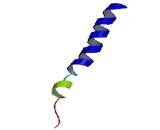 5-Hydroxytryptamine Receptor 4 (HTR4)