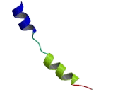 5-Hydroxytryptamine Receptor 5A (HTR5A)