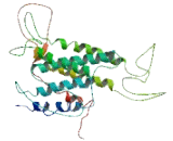 5-Hydroxytryptamine Receptor 5B (HTR5B)