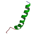 5-Hydroxytryptamine Receptor 6 (HTR6)