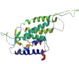 5-Hydroxytryptamine Receptor 7 (HTR7)