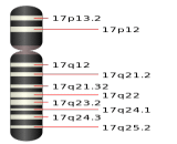 5-Hydroxytryptamine Transporter Linked Polymorphic Region (5-HTTLPR)