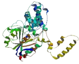 5'-Nucleotidase Domain Containing Protein 2 (NT5DC2)