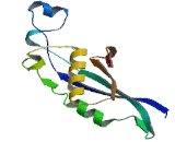 6-Pyruvoyltetrahydropterin Synthase (PTS)