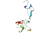 A Disintegrin And Metalloprotease 10 (ADAM10)