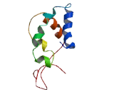 A Disintegrin And Metalloprotease 19 (ADAM19)