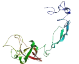 A Disintegrin And Metalloprotease 5 (ADAM5)