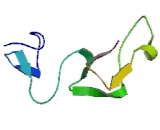 A Disintegrin And Metalloprotease 8 (ADAM8)