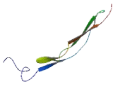 A Disintegrin And Metalloproteinase With Thrombospondin 12 (ADAMTS12)