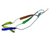 A Disintegrin And Metalloproteinase With Thrombospondin 18 (ADAMTS18)