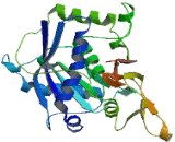 A Disintegrin And Metalloproteinase With Thrombospondin 20 (ADAMTS20)