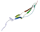 A Disintegrin And Metalloproteinase With Thrombospondin 3 (ADAMTS3)