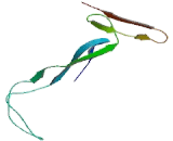 A Disintegrin And Metalloproteinase With Thrombospondin Like Protein 1 (ADAMTSL1)