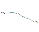 A Kinase Anchor Protein 2 (AKAP2)