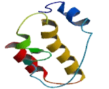 Succinate Dehydrogenase Complex Assembly Factor 3 (SDHAF3)