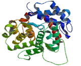 ADP Ribosylarginine Hydrolase (ADPRH)