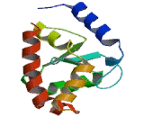 ADP Ribosylation Factor GTPase Activating Protein 2 (ARFGAP2)