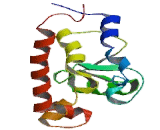 ADP Ribosylation Factor GTPase Activating Protein 3 (ARFGAP3)