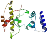 ADP Ribosylation Factor Guanine Nucleotide Exchange Factor 2 (ARFGEF2)