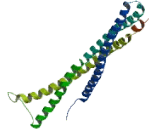 ADP Ribosylation Factor Interacting Protein 1 (ARFIP1)